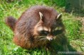 /album/fenykepgaleria/images-15-jpg/